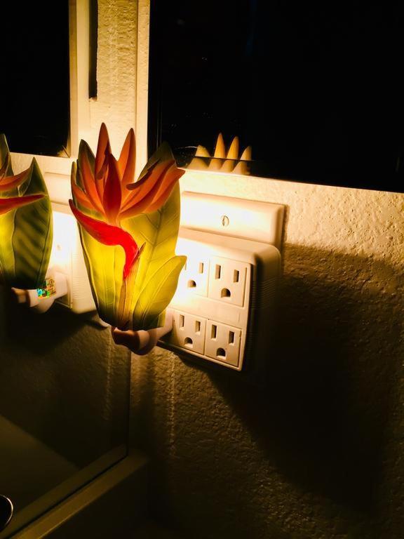 Pacific Beach Butterfly Suite San Diego Luaran gambar